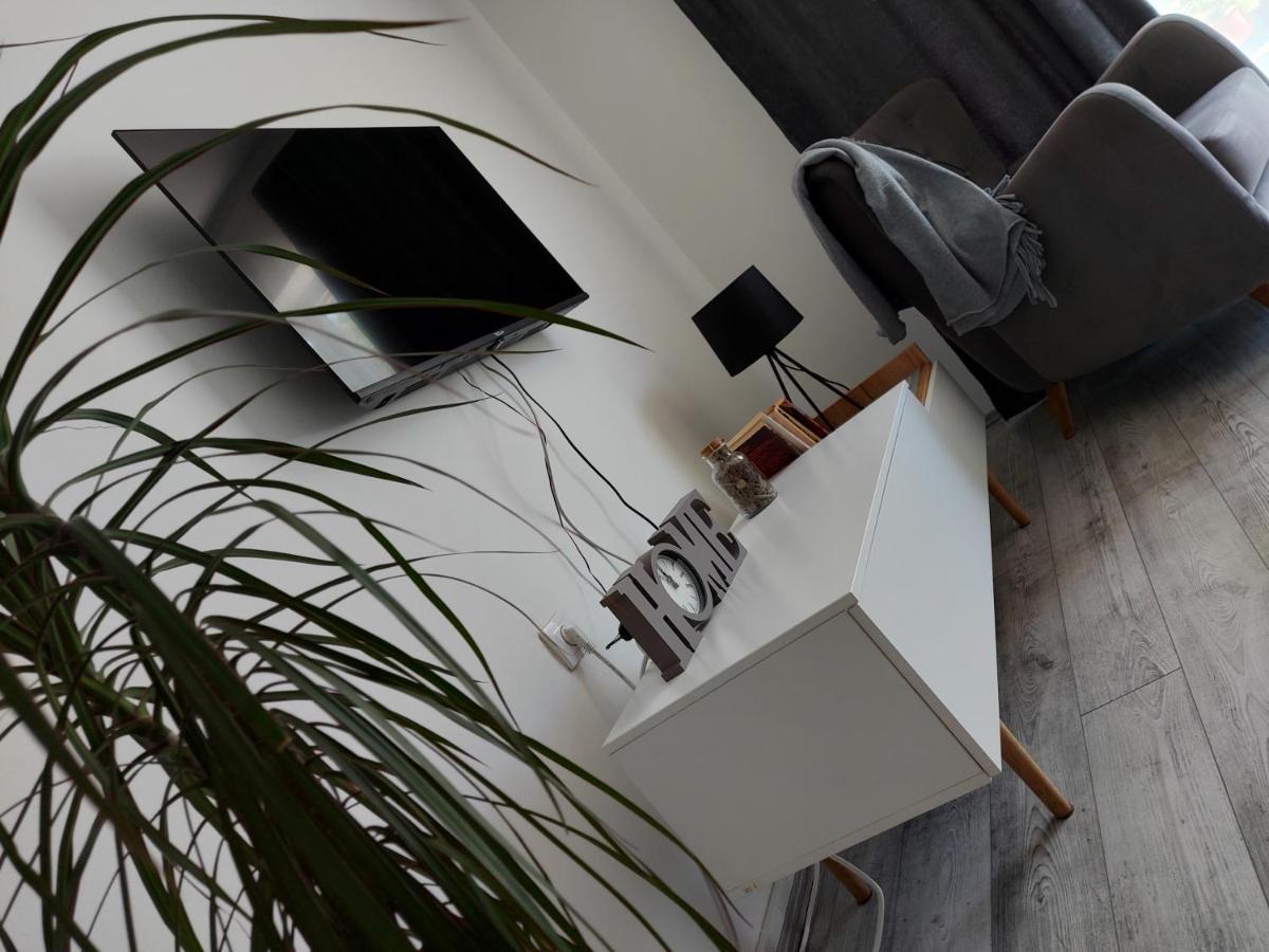 Fenix Apartment & Rooms Vinci Exterior foto